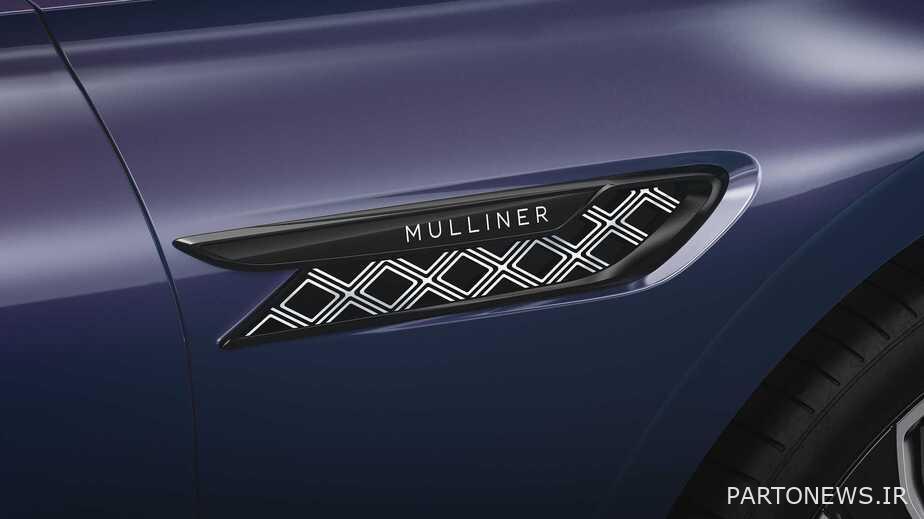 الطائر سبور